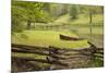 Canoe & Fence-Monte Nagler-Mounted Photographic Print