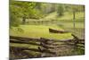 Canoe & Fence-Monte Nagler-Mounted Photographic Print