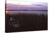 Canoe in Grass by Lake at Sunrise-null-Stretched Canvas