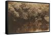 Canoe in Shady Creek-null-Framed Stretched Canvas