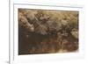 Canoe in Shady Creek-null-Framed Premium Giclee Print