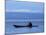 Canoe on Lake Tanganyika, Tanzania-Kristin Mosher-Mounted Photographic Print