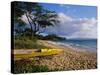 Canoe on Wailea Beach-James Randklev-Stretched Canvas