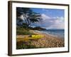 Canoe on Wailea Beach-James Randklev-Framed Photographic Print