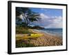 Canoe on Wailea Beach-James Randklev-Framed Photographic Print