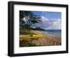 Canoe on Wailea Beach-James Randklev-Framed Photographic Print