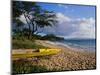 Canoe on Wailea Beach-James Randklev-Mounted Photographic Print