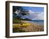 Canoe on Wailea Beach-James Randklev-Framed Photographic Print