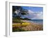 Canoe on Wailea Beach-James Randklev-Framed Photographic Print