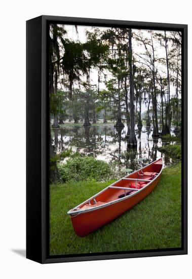 Canoe, Texas's Largest Natural Lake at Sunrise, Caddo Lake, Texas, USA-Larry Ditto-Framed Stretched Canvas