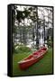 Canoe, Texas's Largest Natural Lake at Sunrise, Caddo Lake, Texas, USA-Larry Ditto-Framed Stretched Canvas