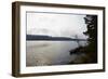 Canoe tour, shore, Lelång Lake, Dalsland, Sweden-Andrea Lang-Framed Photographic Print