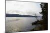 Canoe tour, shore, Lelång Lake, Dalsland, Sweden-Andrea Lang-Mounted Photographic Print