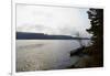 Canoe tour, shore, Lelång Lake, Dalsland, Sweden-Andrea Lang-Framed Photographic Print