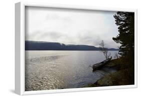 Canoe tour, shore, Lelång Lake, Dalsland, Sweden-Andrea Lang-Framed Photographic Print