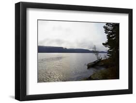 Canoe tour, shore, Lelång Lake, Dalsland, Sweden-Andrea Lang-Framed Photographic Print