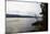 Canoe tour, shore, Lelång Lake, Dalsland, Sweden-Andrea Lang-Mounted Photographic Print