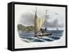 Canoe with Sail from the Vanikoro Islands-null-Framed Stretched Canvas