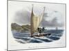 Canoe with Sail from the Vanikoro Islands-null-Mounted Giclee Print
