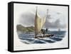 Canoe with Sail from the Vanikoro Islands-null-Framed Stretched Canvas