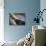 Canoe-Ursula Abresch-Photographic Print displayed on a wall