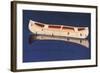 Canoe-Alex Katz-Framed Giclee Print