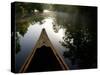 Canoeing Alexander Springs Creek, Ocala National Forest, Florida-Maresa Pryor-Stretched Canvas