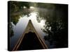 Canoeing Alexander Springs Creek, Ocala National Forest, Florida-Maresa Pryor-Stretched Canvas