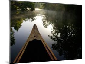 Canoeing Alexander Springs Creek, Ocala National Forest, Florida-Maresa Pryor-Mounted Photographic Print