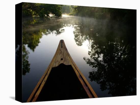 Canoeing Alexander Springs Creek, Ocala National Forest, Florida-Maresa Pryor-Stretched Canvas