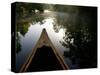 Canoeing Alexander Springs Creek, Ocala National Forest, Florida-Maresa Pryor-Stretched Canvas