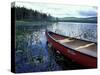 Canoeing on Lake Tarleton, White Mountain National Forest, New Hampshire, USA-Jerry & Marcy Monkman-Stretched Canvas