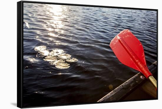 Canoeing on Little Berry Pond in Maine's Northern Forest-Jerry & Marcy Monkman-Framed Stretched Canvas