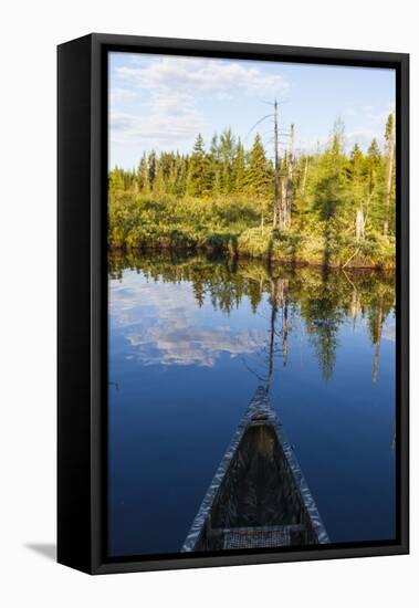 Canoeing on the Cold Stream in the Northern Forests of Maine, Usa-Jerry & Marcy Monkman-Framed Stretched Canvas