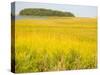 Canoeing the Sloughs and Waterways of Long Island Sound, The Hamptons, New York, USA-null-Stretched Canvas