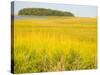 Canoeing the Sloughs and Waterways of Long Island Sound, The Hamptons, New York, USA-null-Stretched Canvas