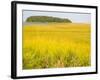 Canoeing the Sloughs and Waterways of Long Island Sound, The Hamptons, New York, USA-null-Framed Photographic Print