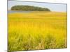 Canoeing the Sloughs and Waterways of Long Island Sound, The Hamptons, New York, USA-null-Mounted Photographic Print