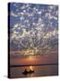 Canoeing under a Mackerel Sky at Dawn on the Zambezi River, Zambia-John Warburton-lee-Stretched Canvas