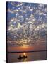 Canoeing under a Mackerel Sky at Dawn on the Zambezi River, Zambia-John Warburton-lee-Stretched Canvas