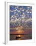 Canoeing under a Mackerel Sky at Dawn on the Zambezi River, Zambia-John Warburton-lee-Framed Photographic Print