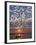 Canoeing under a Mackerel Sky at Dawn on the Zambezi River, Zambia-John Warburton-lee-Framed Photographic Print