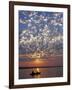 Canoeing under a Mackerel Sky at Dawn on the Zambezi River, Zambia-John Warburton-lee-Framed Photographic Print