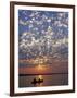 Canoeing under a Mackerel Sky at Dawn on the Zambezi River, Zambia-John Warburton-lee-Framed Photographic Print