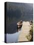 Canoes at Dock for Tours, Harriet Hunt Lake, Ketchikan, Alaska, USA-Savanah Stewart-Stretched Canvas