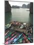 Canoes, Halong Bay, Cat Ba National Park, Northern Vietnam, Southeast Asia-Christian Kober-Mounted Photographic Print