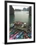 Canoes, Halong Bay, Cat Ba National Park, Northern Vietnam, Southeast Asia-Christian Kober-Framed Photographic Print