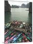 Canoes, Halong Bay, Cat Ba National Park, Northern Vietnam, Southeast Asia-Christian Kober-Mounted Photographic Print