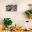 Canoes on a Dock, Alberta, Canada-George Oze-Mounted Photographic Print displayed on a wall