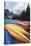 Canoes on a Dock, Moraine Lake, Banff National Park, Canada-George Oze-Stretched Canvas
